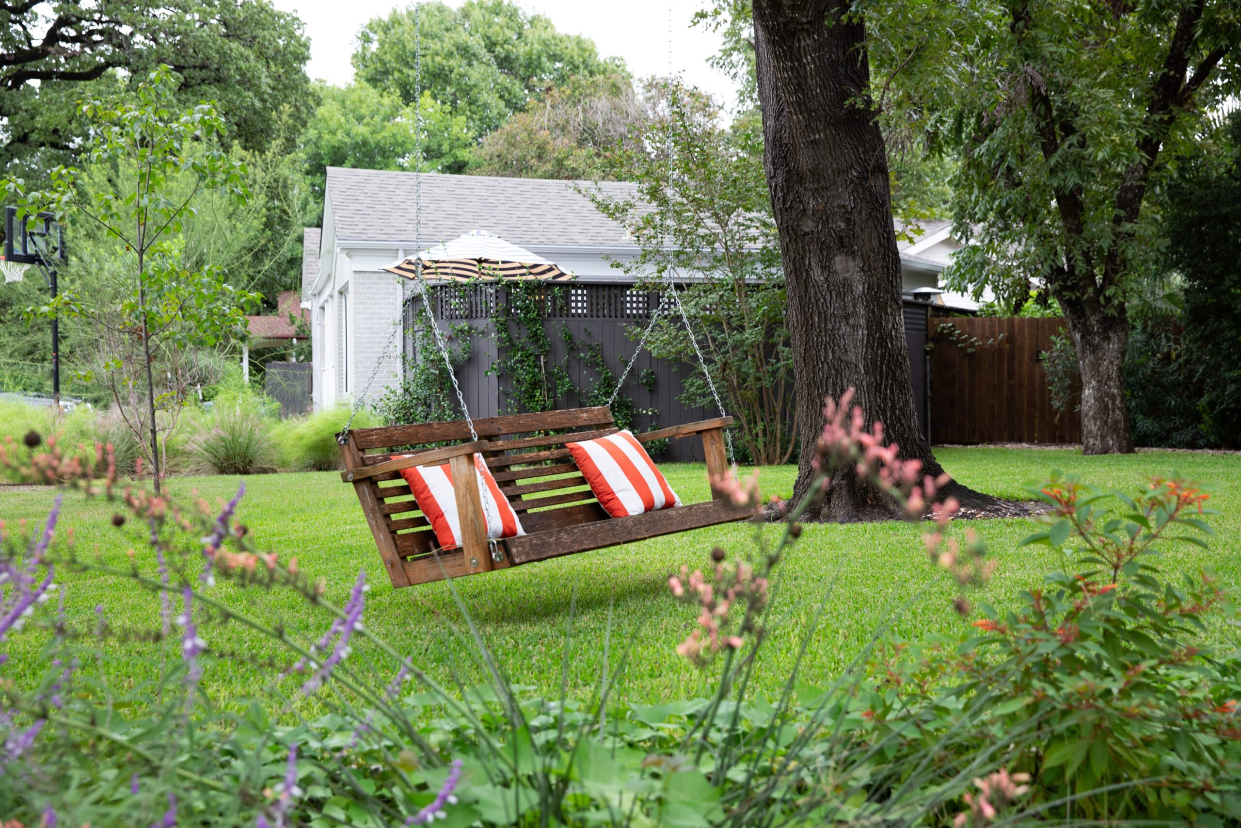 Barton Hills / Zilker